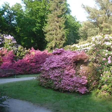 Ferienobjekt Mueritz A3