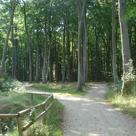 Ferienobjekt Mueritz A3